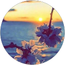 Mahnoor Fatima profile picture